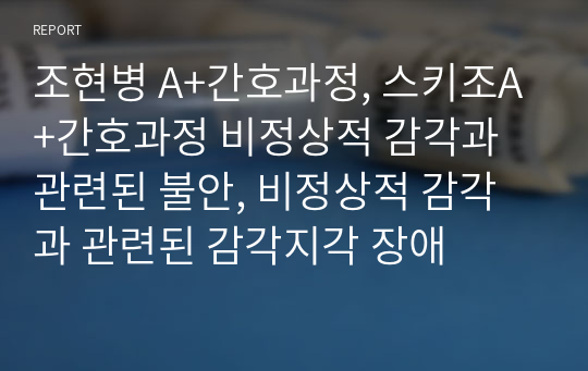 조현병 A+간호과정, 스키조A+간호과정 비정상적 감각과 관련된 불안, 비정상적 감각과 관련된 감각지각 장애