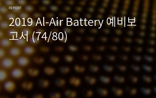 2019 Al-Air Battery 예비보고서 (74/80)