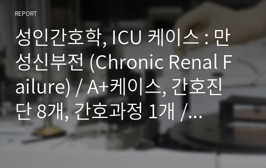 성인간호학, ICU 케이스 : 급성신부전 (Acute Renal Failure) / A+케이스, 간호진단 8개, 간호과정 1개 / 연구목적,문헌고찰,자료분석,간호진단,간호과정,간호수행,간호평가