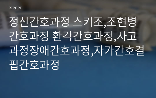 정신간호과정 스키조,조현병간호과정 환각간호과정,사고과정장애간호과정,자가간호결핍간호과정