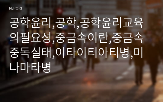 공학윤리,공학,공학윤리교육의필요성,중금속이란,중금속중독실태,이타이티아티병,미나마타병