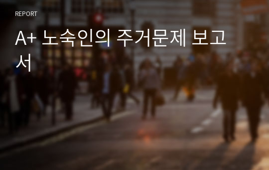 A+ 노숙인의 주거문제 보고서