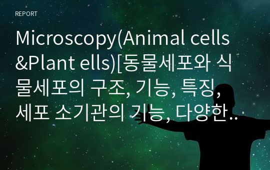 Microscopy(Animal cells&amp;Plant ells)[동물세포와 식물세포의 구조, 기능, 특징, 세포 소기관의 기능, 다양한 cell 염색법, 식물 세포와 동물 세포 관찰 실험 및 구조적 구성적 차이점]