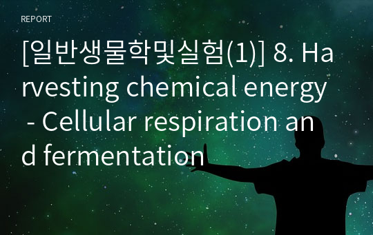[일반생물학및실험(1)] 8. Harvesting chemical energy - Cellular respiration and fermentation