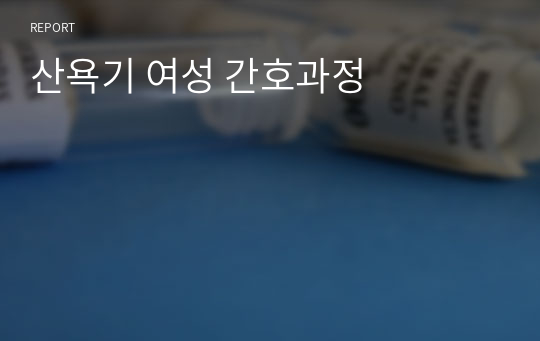 산욕기 여성 간호과정