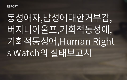 동성애자,남성에대한거부감,버지니아울프,기회적동성애,기회적동성애,Human Rights Watch의 실태보고서