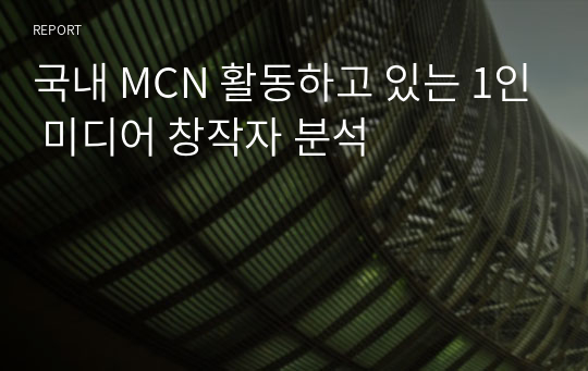국내 MCN 활동하고 있는 1인 미디어 창작자 분석