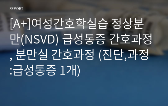 [A+]여성간호학실습 정상분만(NSVD) 급성통증 간호과정, 분만실 간호과정 (진단,과정:급성통증 1개)