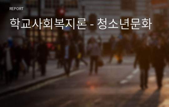 학교사회복지론 - 청소년문화