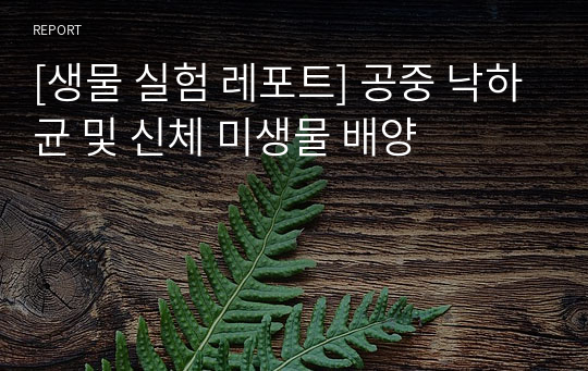 [생물 실험 레포트] 공중 낙하균 및 신체 미생물 배양