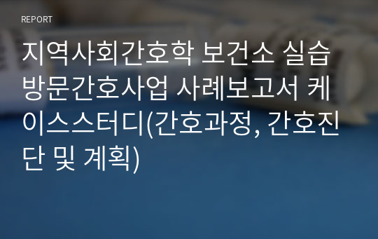 지역사회간호학 보건소 실습 방문간호사업 사례보고서 케이스스터디(간호과정, 간호진단 및 계획)