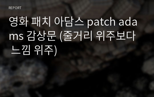 영화 패치 아담스 patch adams 감상문 (줄거리 위주보다 느낌 위주)