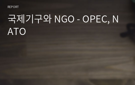 국제기구와 NGO - OPEC, NATO