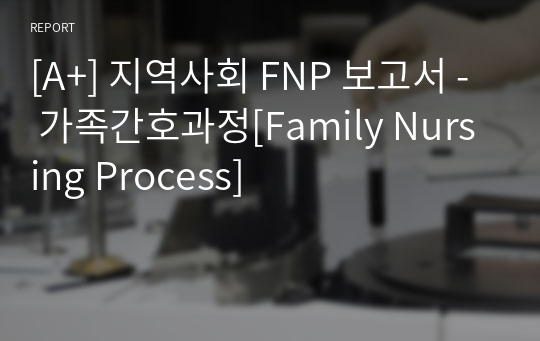[A+] 지역사회 FNP 보고서 - 가족간호과정[Family Nursing Process]