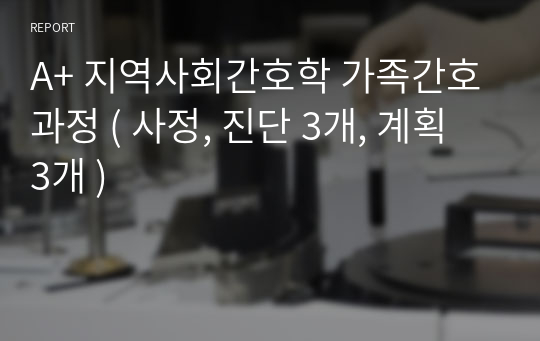 A+ 지역사회간호학 가족간호과정 ( 사정, 진단 3개, 계획 3개 )