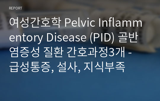 여성간호학 Pelvic Inflammentory Disease (PID) 골반염증성 질환 간호과정3개 - 급성통증, 설사, 지식부족