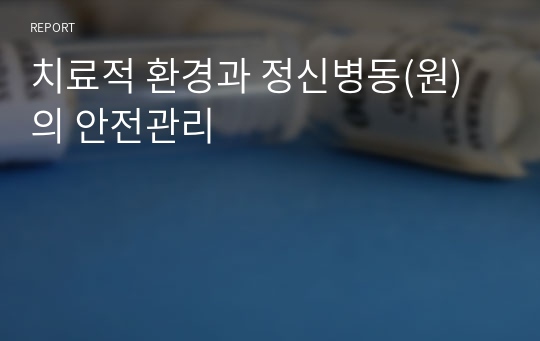 치료적 환경과 정신병동(원)의 안전관리