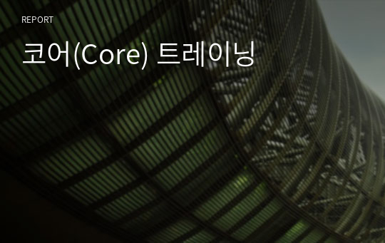 코어(Core) 트레이닝