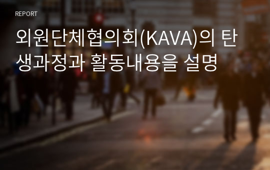 외원단체협의회(KAVA)의 탄생과정과 활동내용을 설명