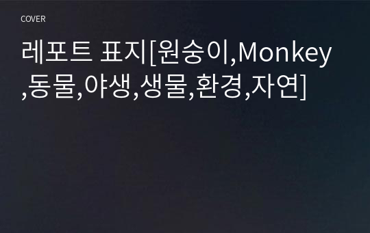 레포트 표지[원숭이,Monkey,동물,야생,생물,환경,자연]