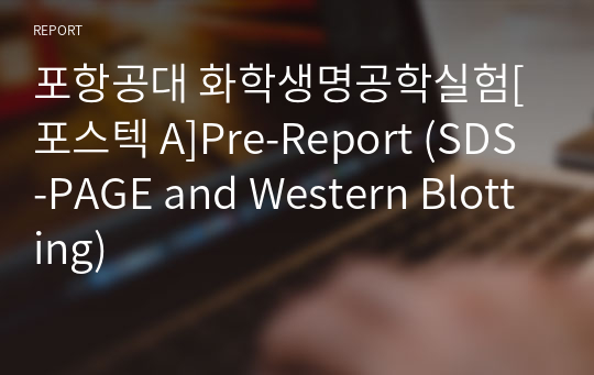 포항공대 화학생명공학실험[포스텍 A]Pre-Report (SDS-PAGE and Western Blotting)