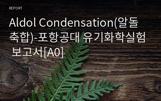 Aldol Condensation(알돌 축합)-포항공대 유기화학실험 보고서[A0]