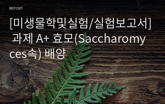 [미생물학및실험/실험보고서] 과제 A+ 효모(Saccharomyces속) 배양