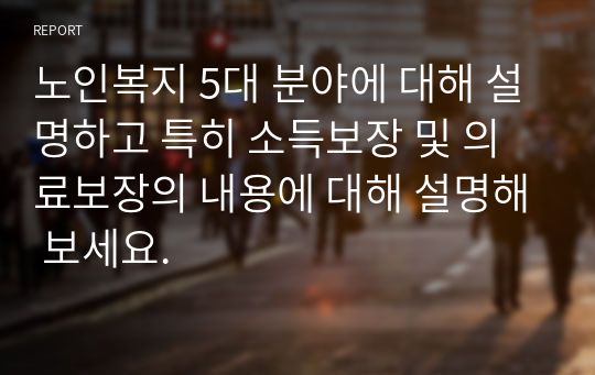 노인복지 5대 분야에 대해 설명하고 특히 소득보장 및 의료보장의 내용에 대해 설명해 보세요.