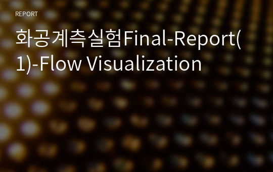화공계측실험Final-Report(1)-Flow Visualization