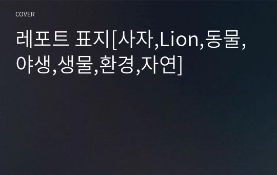 레포트 표지[사자,Lion,동물,야생,생물,환경,자연]