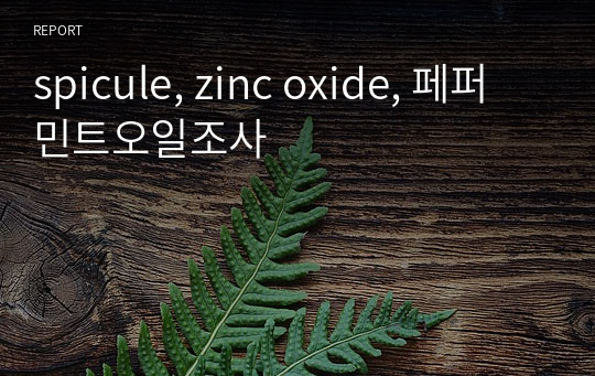 spicule, zinc oxide, 페퍼민트오일조사