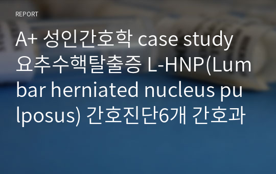 A+ 성인간호학 case study 요추수핵탈출증 L-HNP(Lumbar herniated nucleus pulposus) 케이스 간호진단6개 간호과정4개