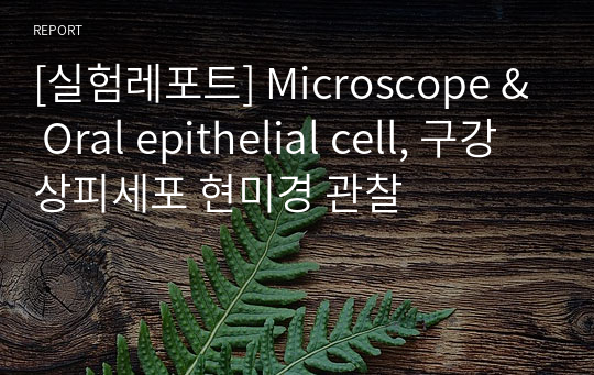 [실험레포트] Microscope &amp; Oral epithelial cell, 구강상피세포 현미경 관찰