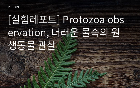 [실험레포트] Protozoa observation, 더러운 물속의 원생동물 관찰