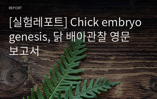 [실험레포트] Chick embryogenesis, 닭 배아관찰 영문 보고서