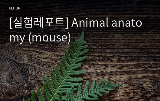 [실험레포트] Animal anatomy (mouse)