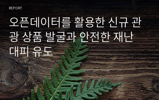 오픈데이터를 활용한 신규 관광 상품 발굴과 안전한 재난 대피 유도