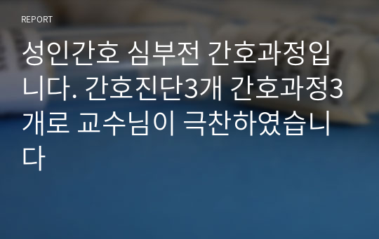 A+받은 성인간호 심부전 간호과정. 간호진단 3개 간호과정 3개입니다