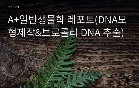 A+일반생물학 레포트(DNA모형제작&amp;브로콜리 DNA 추출)