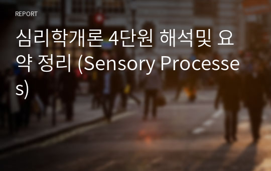 심리학개론 4단원 해석및 요약 정리 (Sensory Processes)