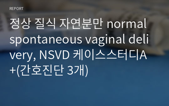 정상 질식 자연분만 normal spontaneous vaginal delivery, NSVD 케이스스터디A+(간호진단 3개)