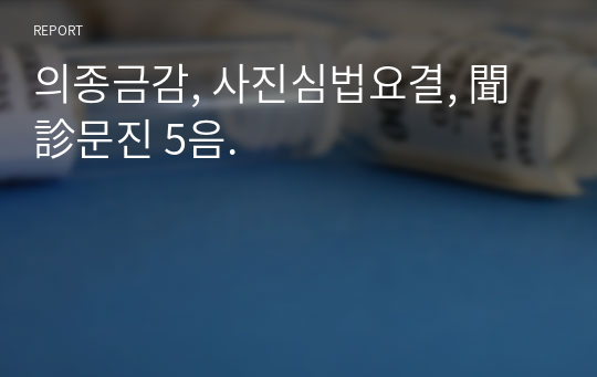 의종금감, 사진심법요결, 聞診문진 5음.