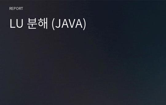 LU 분해 (JAVA)