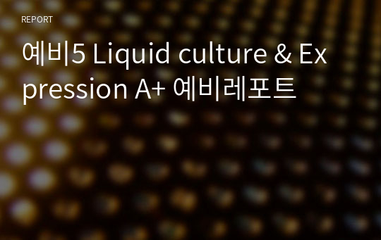 예비5 Liquid culture &amp; Expression A+ 예비레포트