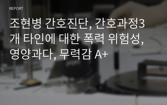 조현병 간호진단, 간호과정3개 타인에 대한 폭력 위험성, 영양과다, 무력감 A+