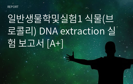 일반생물학및실험1 식물(브로콜리) DNA extraction 실험 보고서 [A+]
