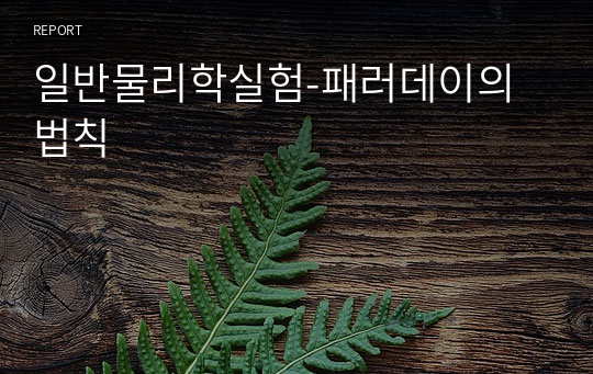 일반물리학실험-패러데이의법칙