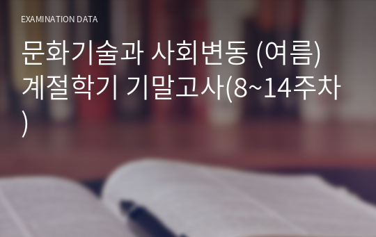 문화기술과 사회변동 (여름)계절학기 기말고사(8~14주차)