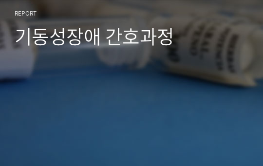 기동성장애 간호과정