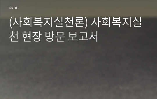 (사회복지실천론) 사회복지실천 현장 방문 보고서